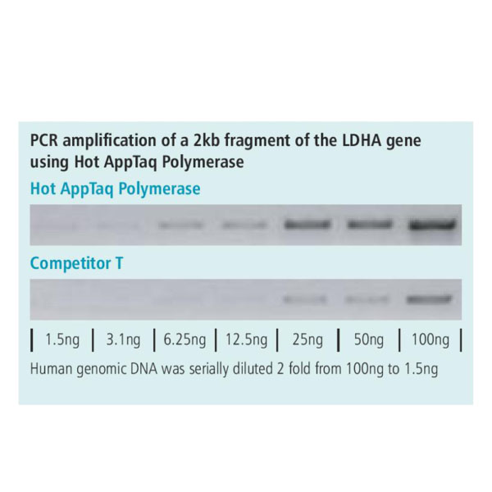 Picture of Hot AppTaq Polymerase, 250 units